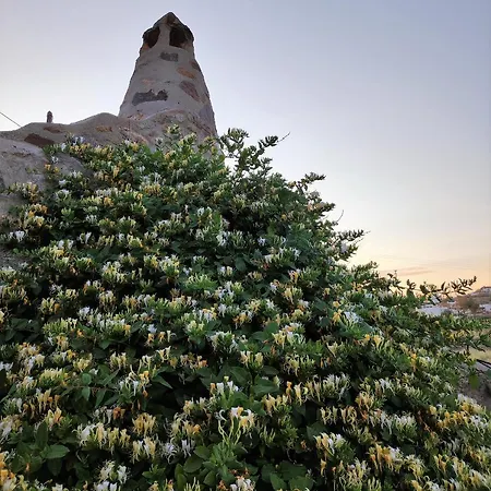 Appartement Pyrgi Artemis Place *