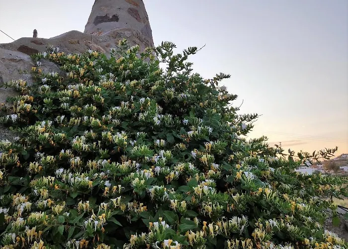 Apartament Pyrgi Artemis Place *